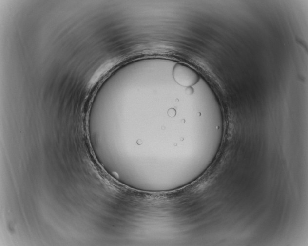 X0000101650978200807100936