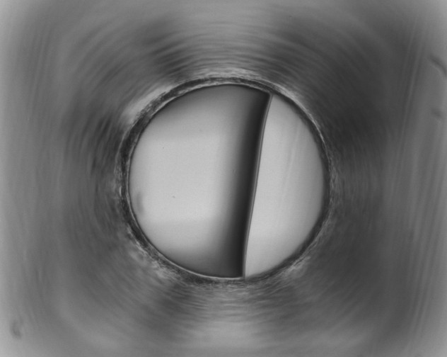 X0000101650979200807100936
