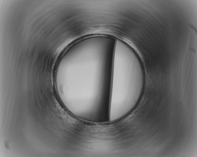 X0000101650980200807100936
