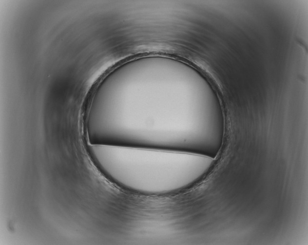 X0000101650983200807100936