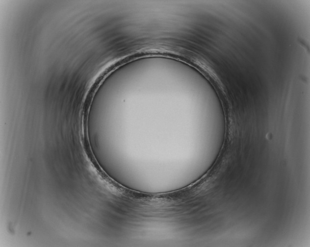 X0000101650984200807100936