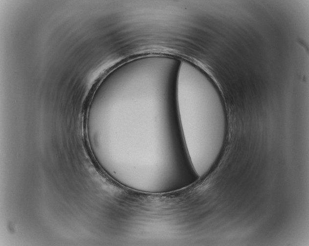 X0000101650987200807100936
