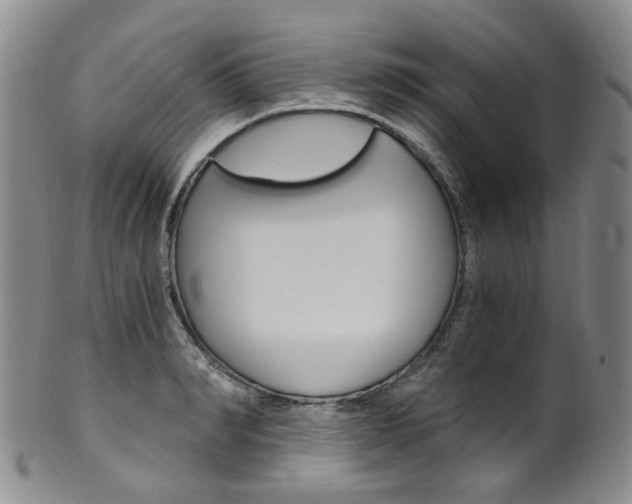 X0000101650990200807100936