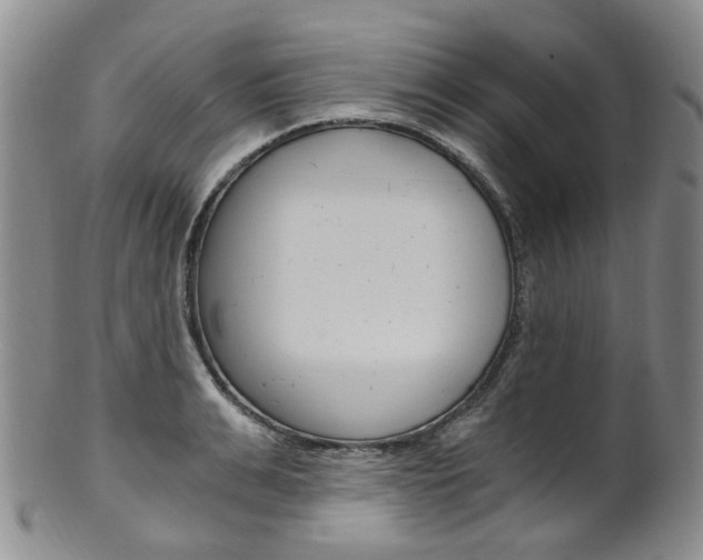 X0000101650991200807100936