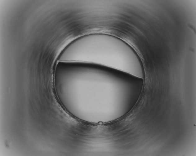 X0000101650992200807100936