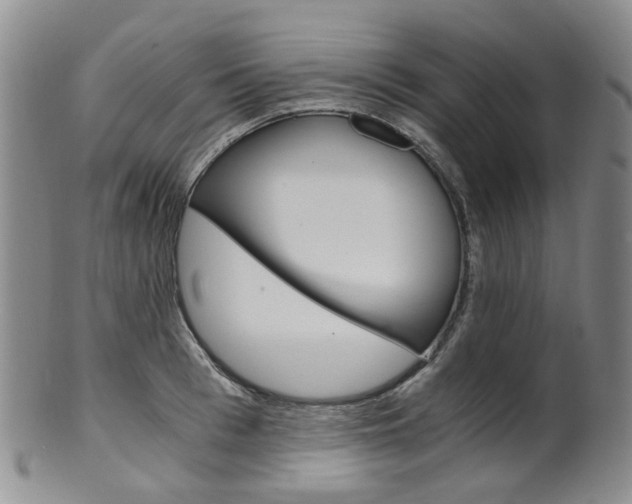 X0000101650993200807100936