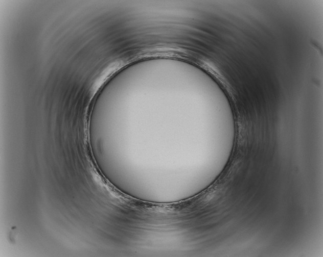 X0000101650994200807100936