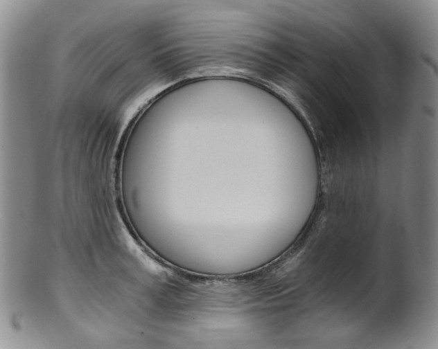 X0000101650995200807100935