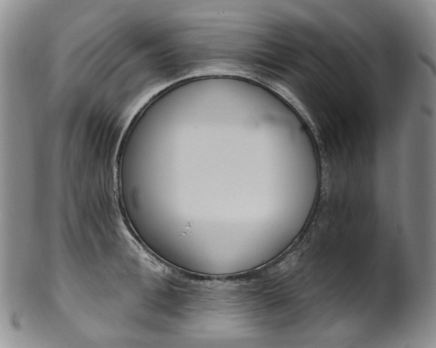 X0000101650996200807100935