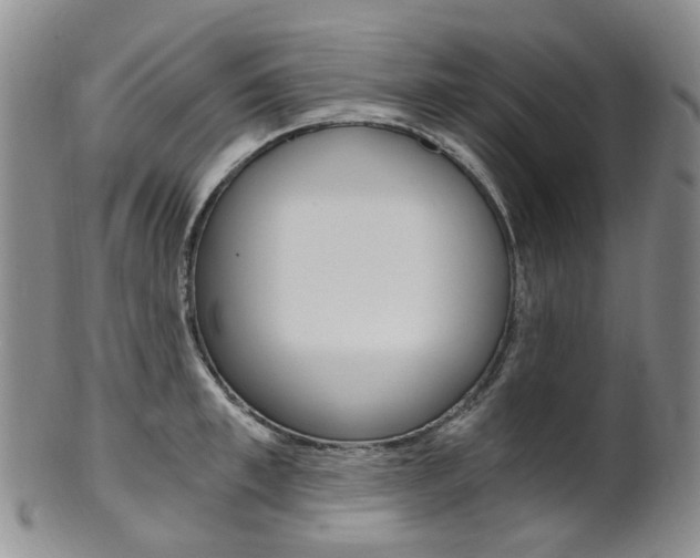 X0000101650997200807100935