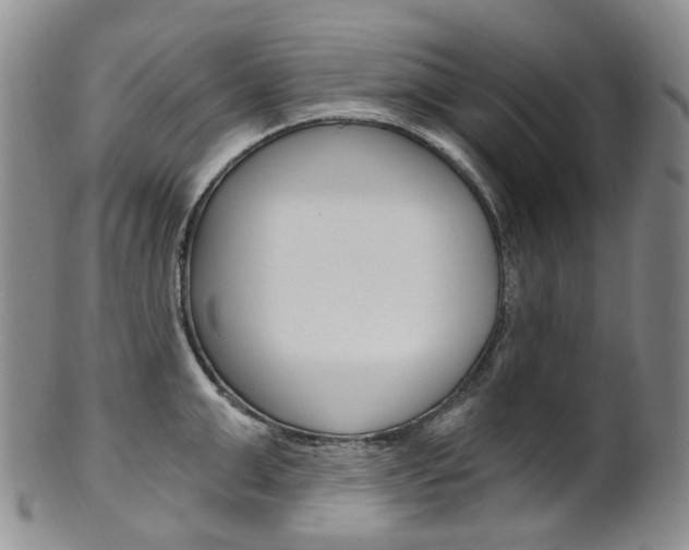 X0000101650999200807100935