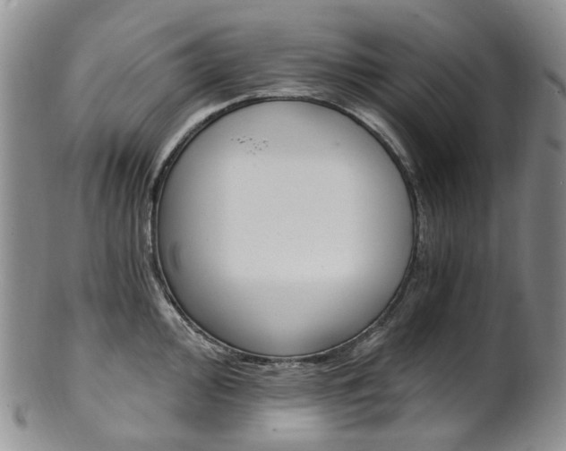 X0000101651000200807100935