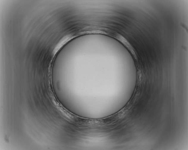 X0000101651002200807100935