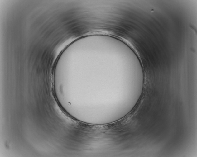 X0000101651003200807100935