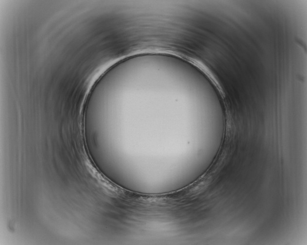 X0000101651004200807100935