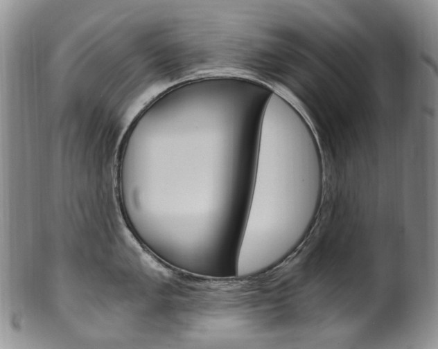 X0000101651005200807100935
