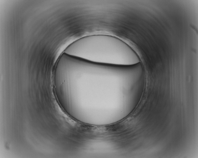 X0000101651006200807100935