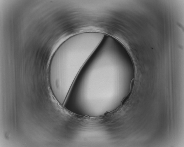X0000101651008200807100935