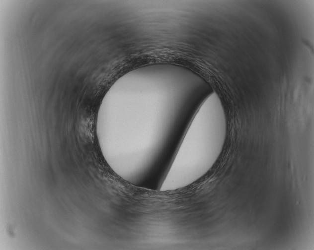 X0000101651010200807100935