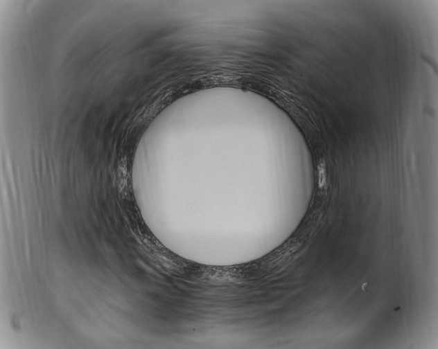 X0000101651011200807100935