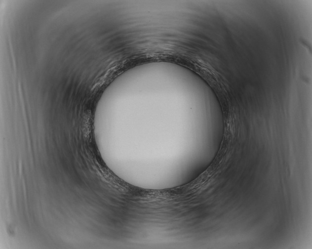 X0000101651012200807100935