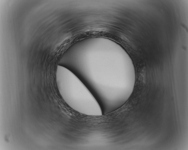 X0000101651014200807100935