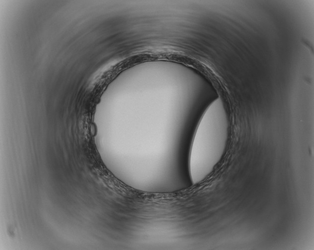 X0000101651016200807100935