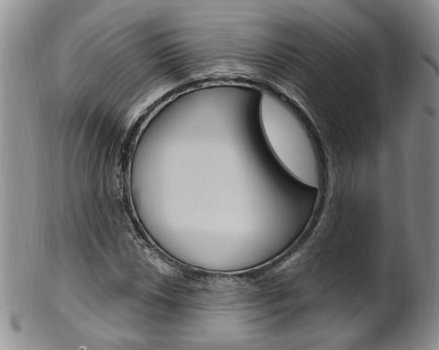 X0000101651018200807100935