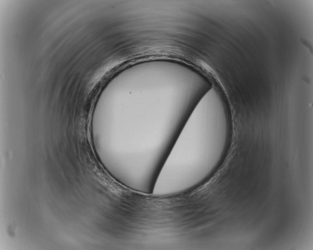 X0000101651019200807100935