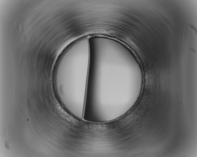 X0000101651020200807100935