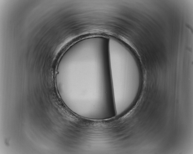 X0000101651021200807100935