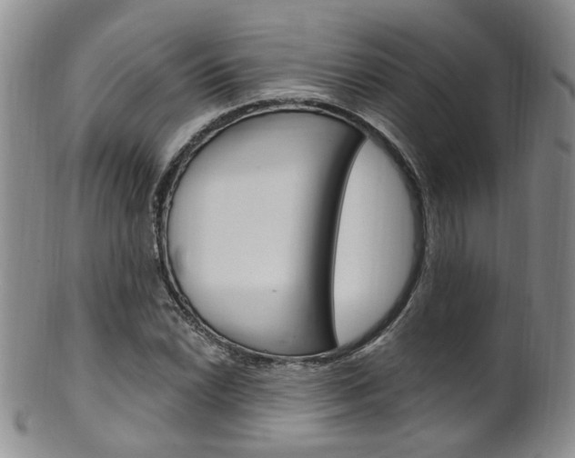 X0000101651022200807100935
