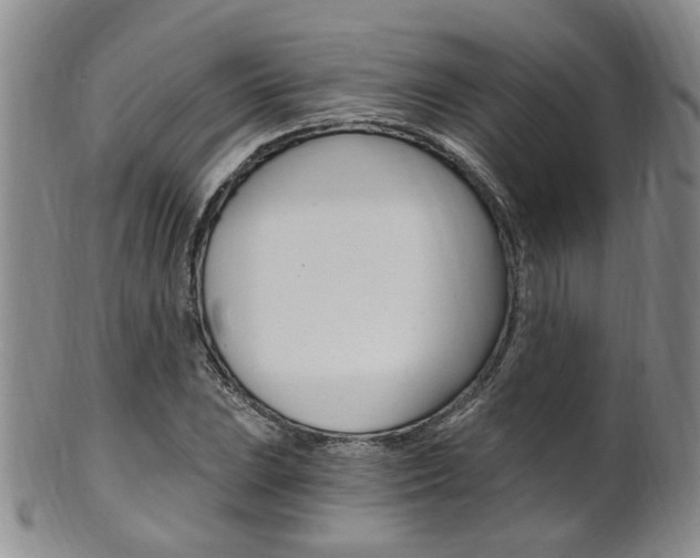 X0000101651023200807100935