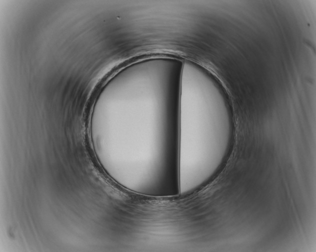 X0000101651024200807100935