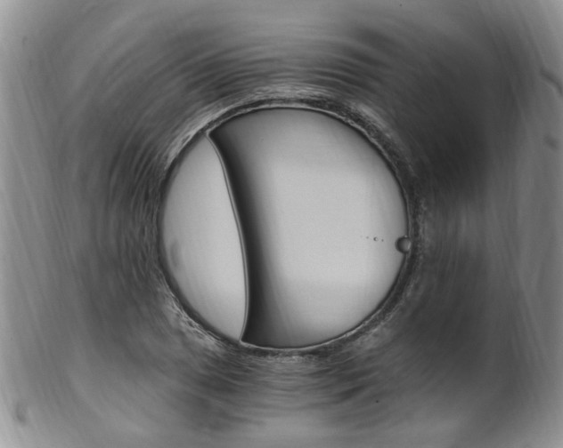 X0000101651025200807100935