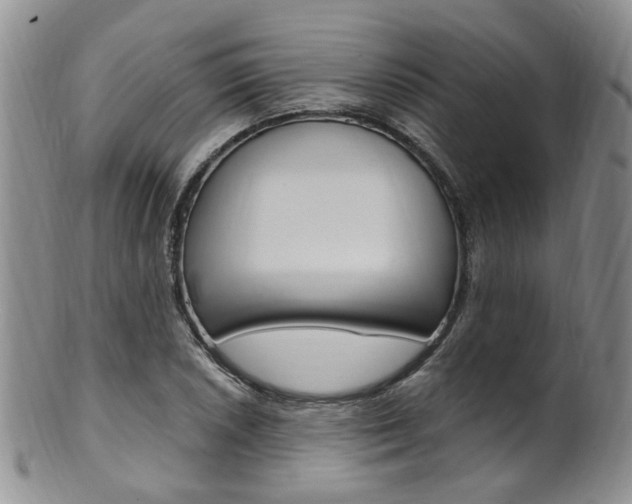 X0000101651026200807100935