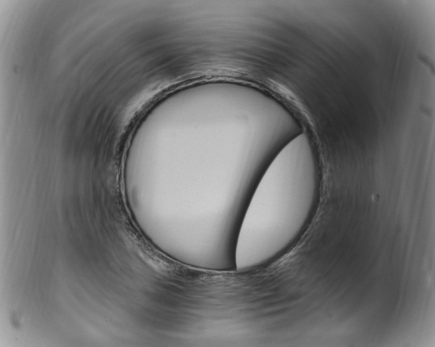 X0000101651027200807100935
