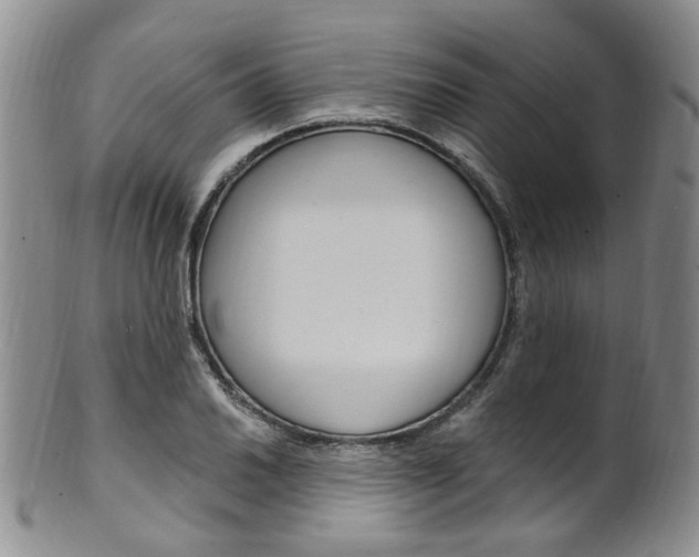 X0000101651030200807100935