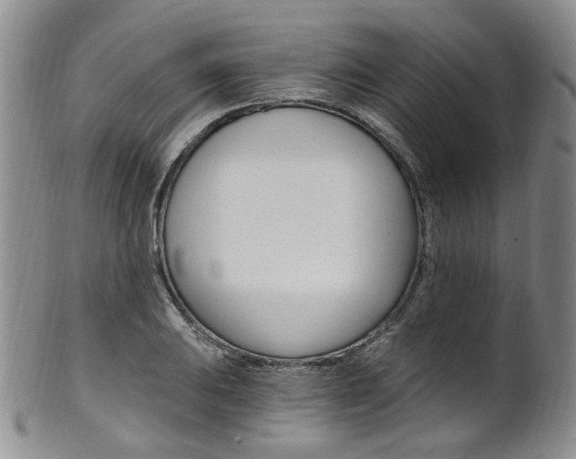 X0000101651031200807100935