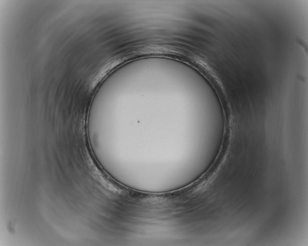 X0000101651033200807100935