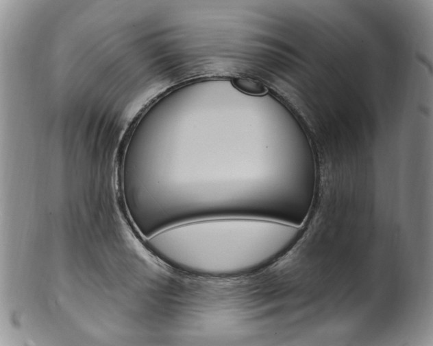 X0000101651034200807100935