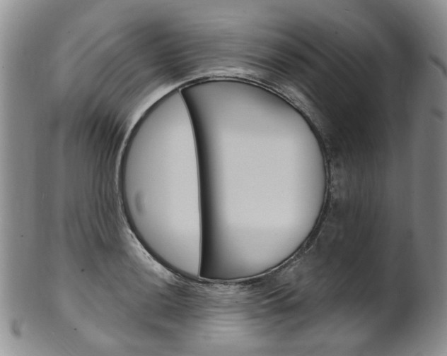 X0000101651036200807100935