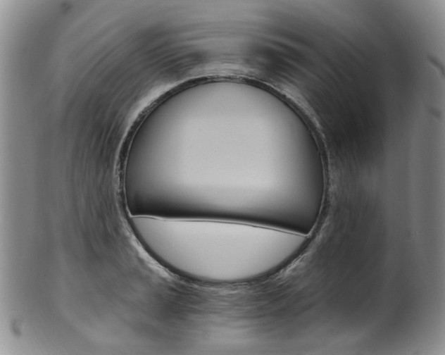X0000101651037200807100935