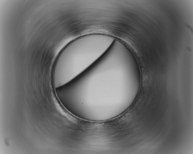 X0000101651038200807100935