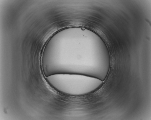 X0000101651039200807100935