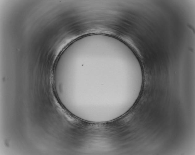 X0000101651040200807100935