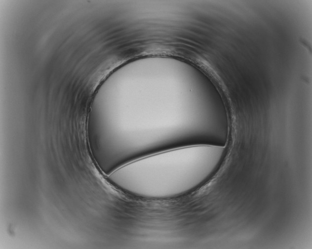 X0000101651041200807100935