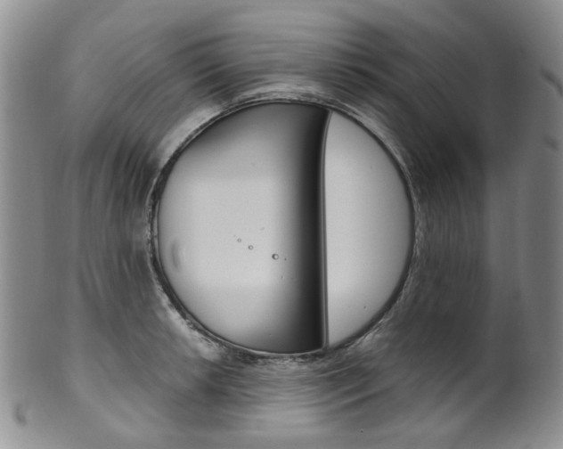 X0000101651042200807100935