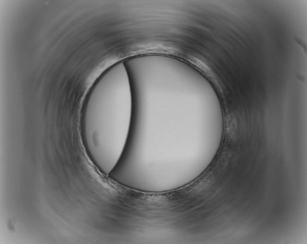 X0000101651043200807100935