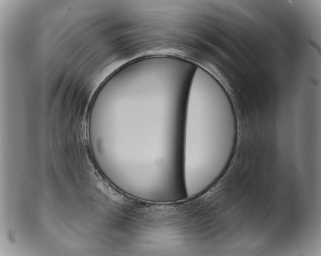 X0000101651044200807100935